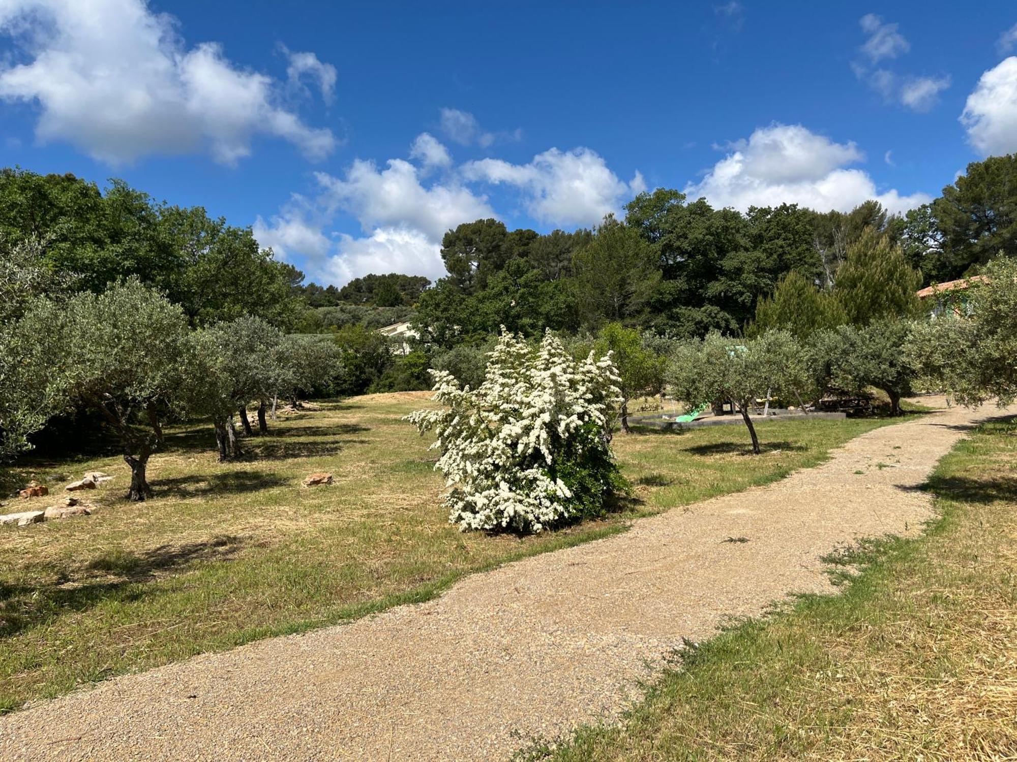 Gite Le Mas Des Oliviers Draguignan Exterior photo